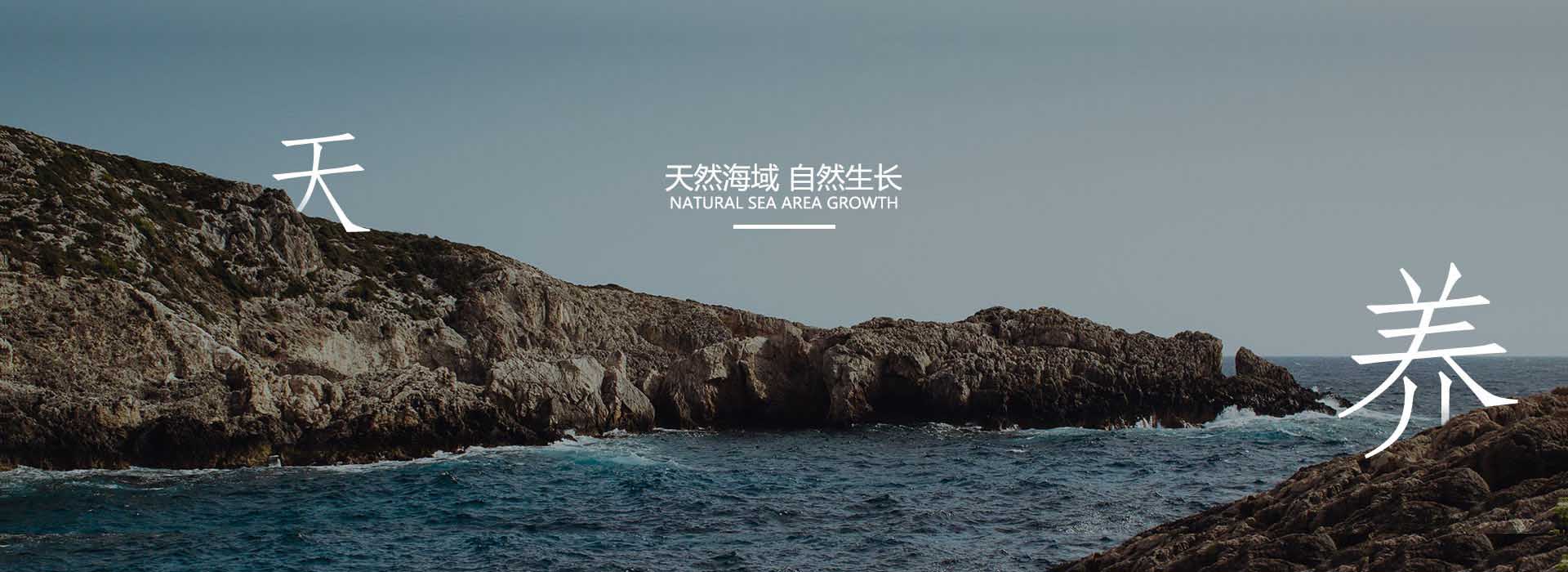 大连海参